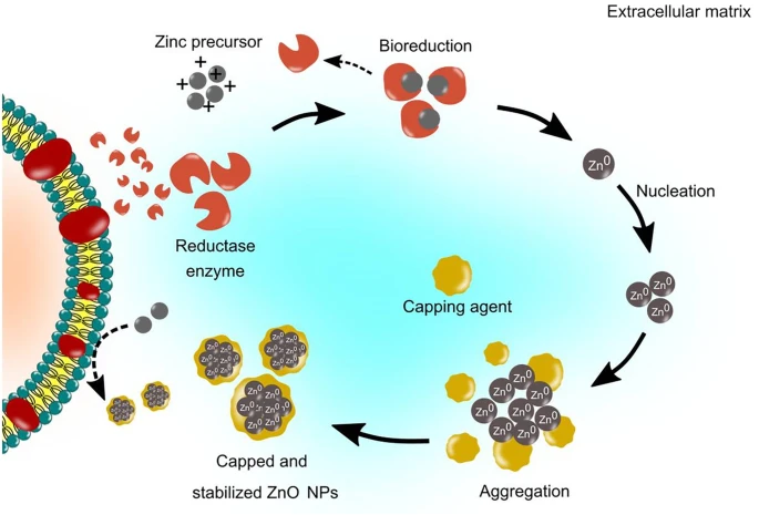 Nano Zinc Oxide in Textiles