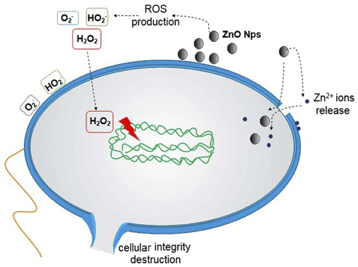 Nano Zinc Oxide in Textiles