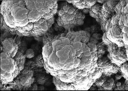 What is the Recommended Method for Determining the Specific Surface Area of the Ground Material?