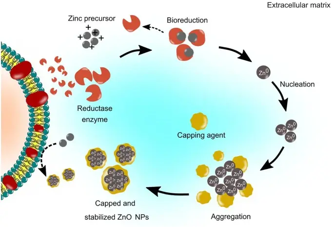 Nano Zinc Oxide in Textiles